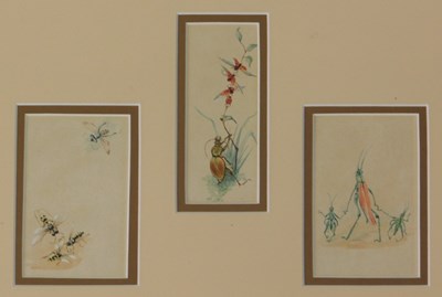 Lot 245 - 20thC School. Humorous insect, grasshoppers,...