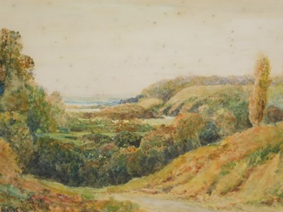 Lot 255 - W Crispin Harris (20thC). Summer landscape,...
