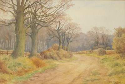 Lot 900 - E Taylor (20thC School). Pathway with trees...