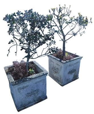 Lot 1000 - A pair of stone garden planters, each of...